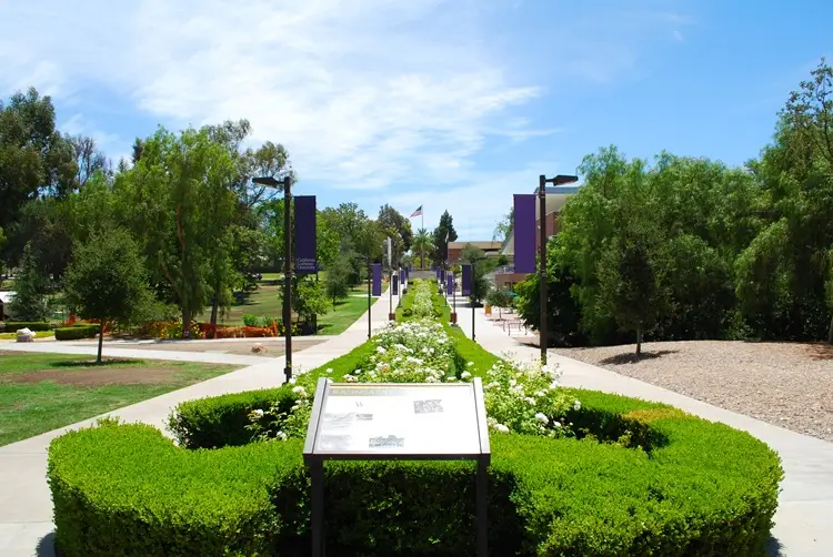 Lori Varlotta California Lutheran University
